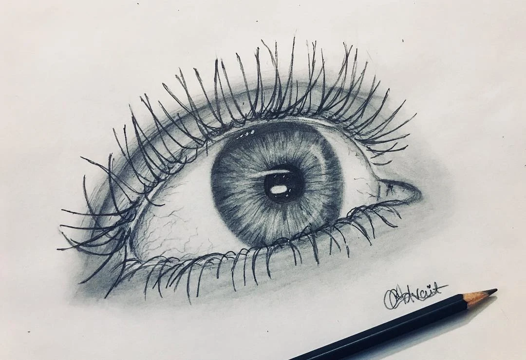 Eye
