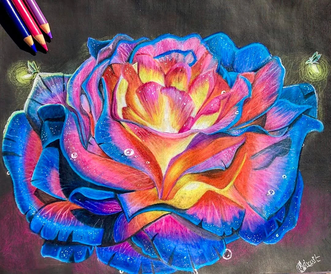 Rose Glow