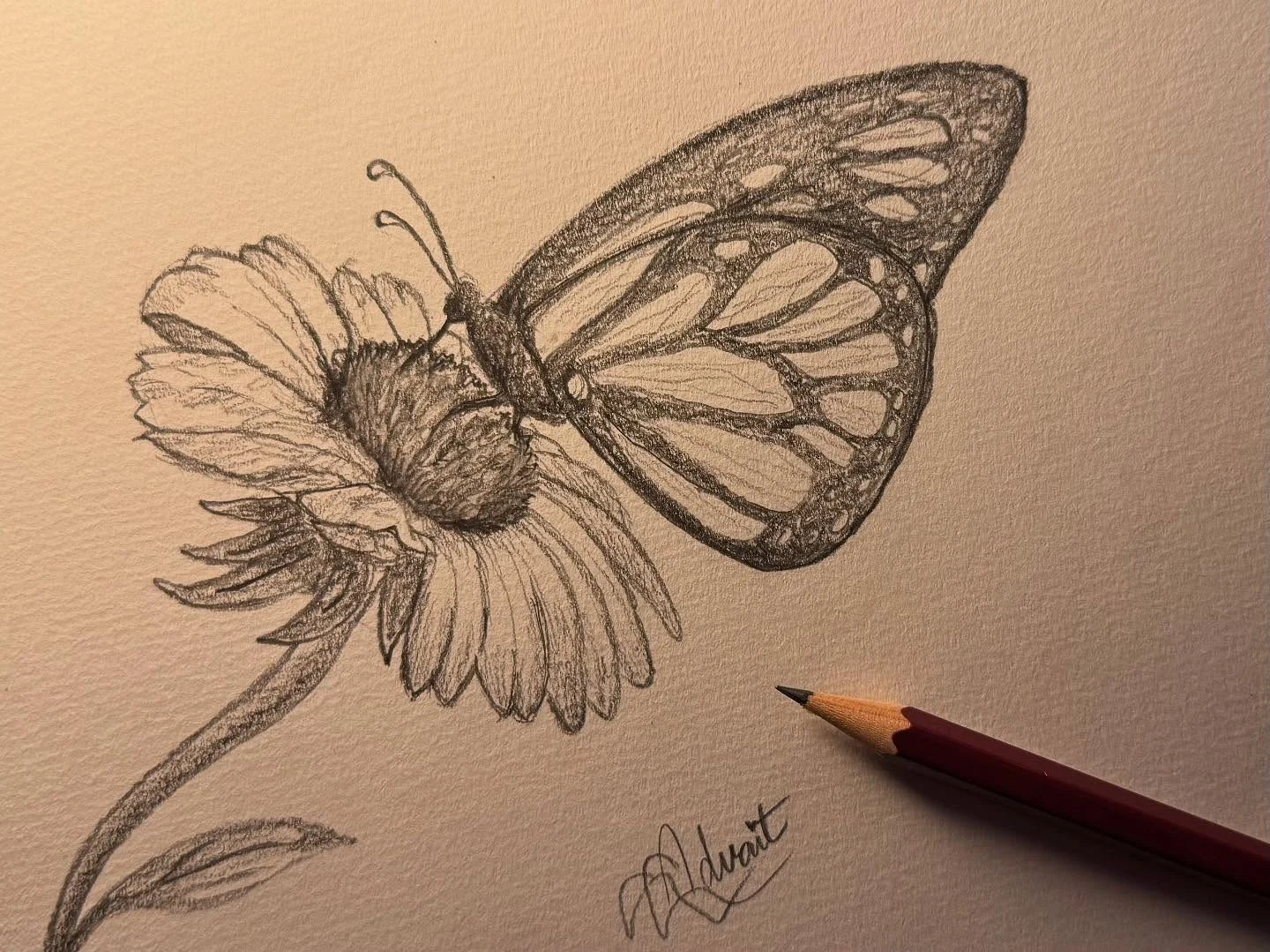 Metamorphosis